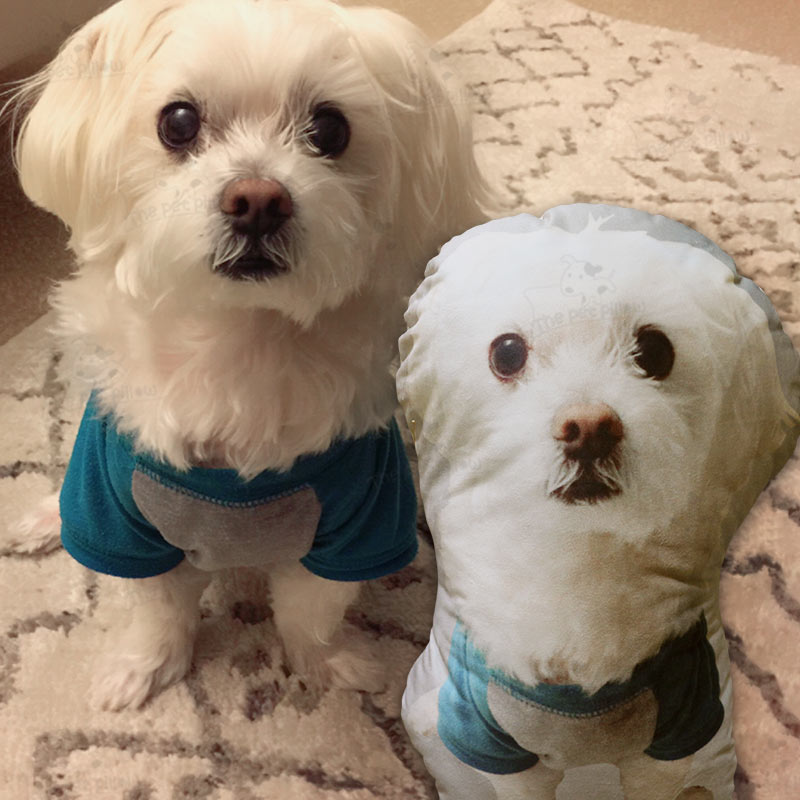 Customize Your Pet Pillow To Keep Your Pet By Your Side