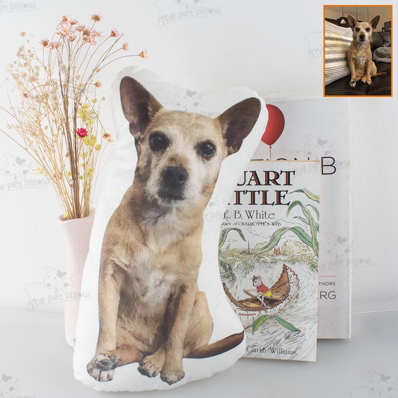 Customize The Pillow with A Photo of Your Pet and Let Your Pet Accompany You All The Time