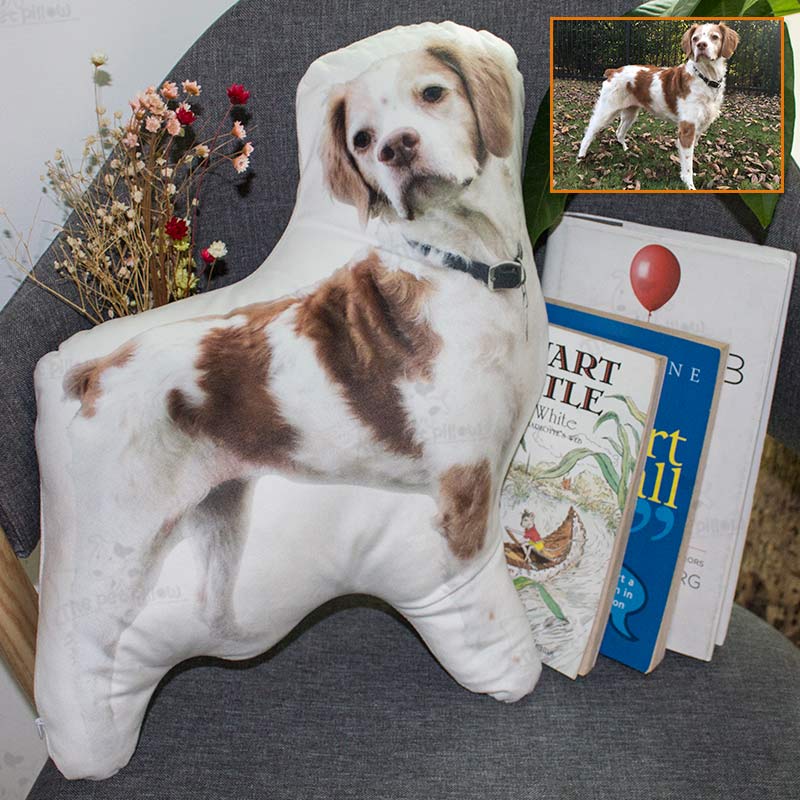 Customized Pillows, You Can Use Pet Photos, Portraits, Star, Cartoons and Other Photos To Customize Pillows