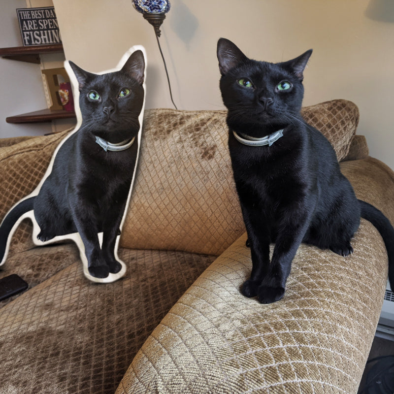 Customizable shaped pillows, use pet photos to customize meaningful pillows