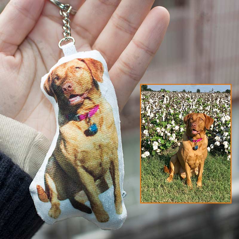 Customized pet photo small pillow keychain small pendant