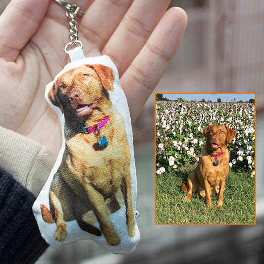 Customized pet photo small pillow keychain small pendant