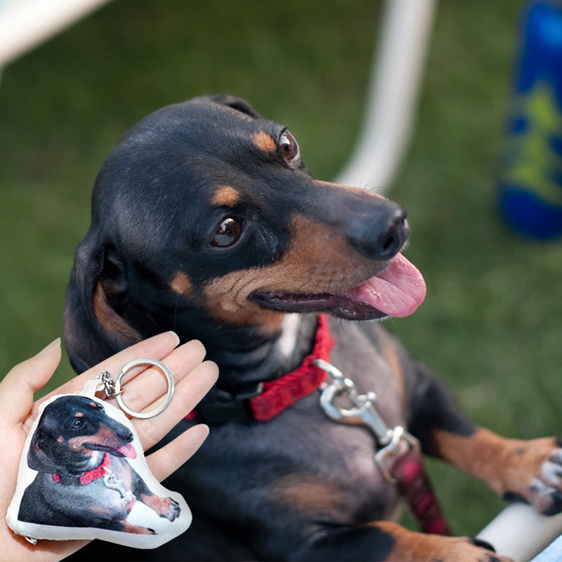 Customized pet photo small pillow keychain small pendant