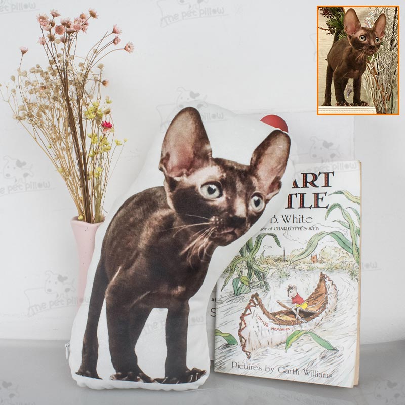 Customizable shaped pillows, use pet photos to customize meaningful pillows