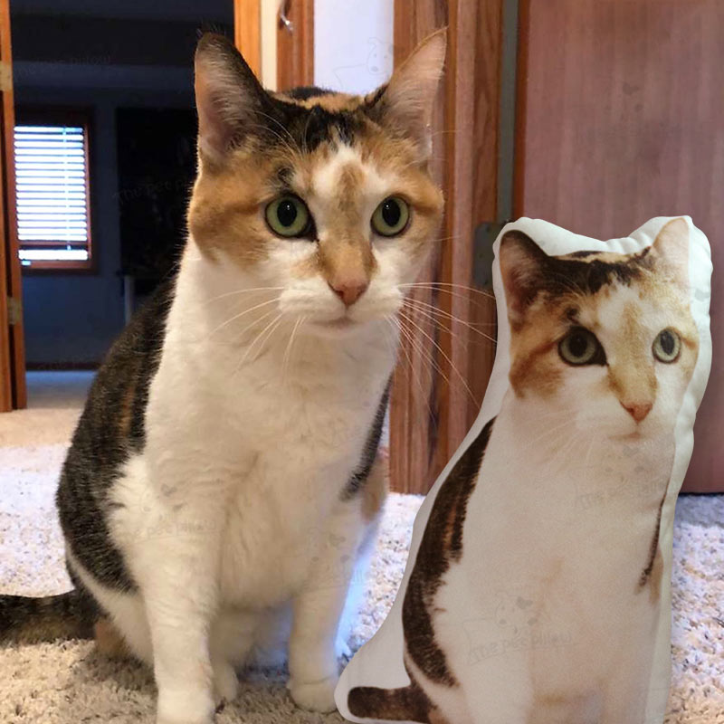 Customizable shaped pillows, use pet photos to customize meaningful pillows