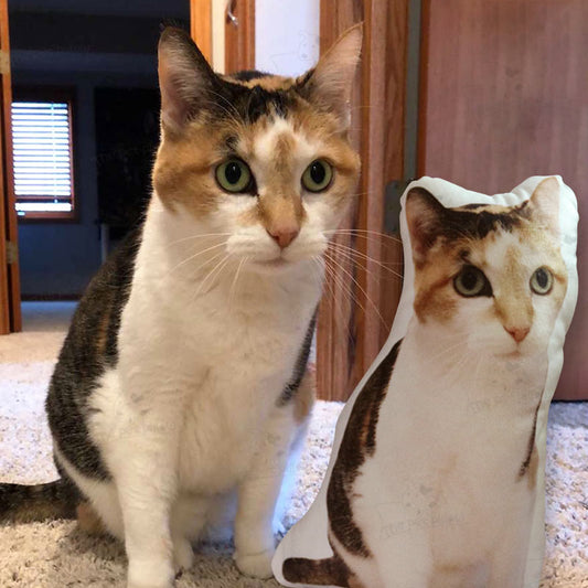 Customizable shaped pillows, use pet photos to customize meaningful pillows