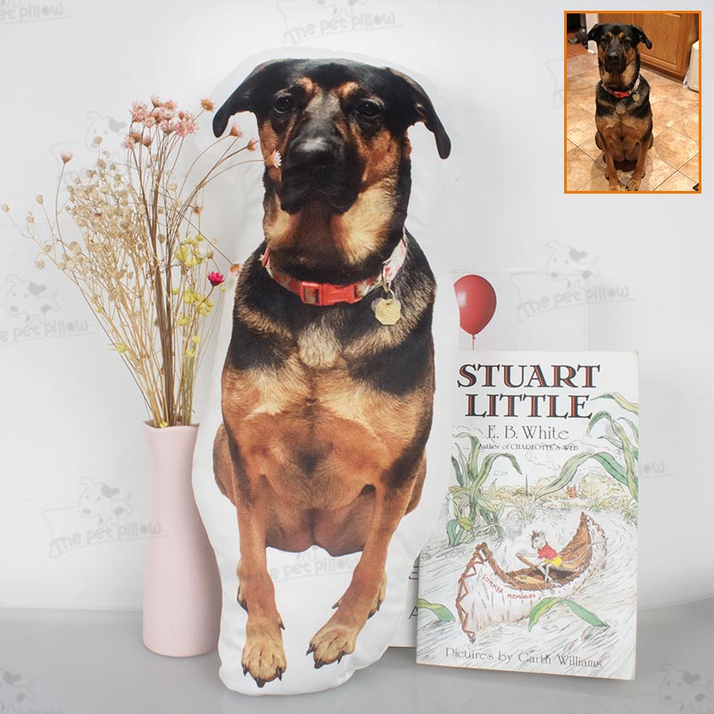 Customize The Pillow with A Photo of Your Pet and Let Your Pet Accompany You All The Time