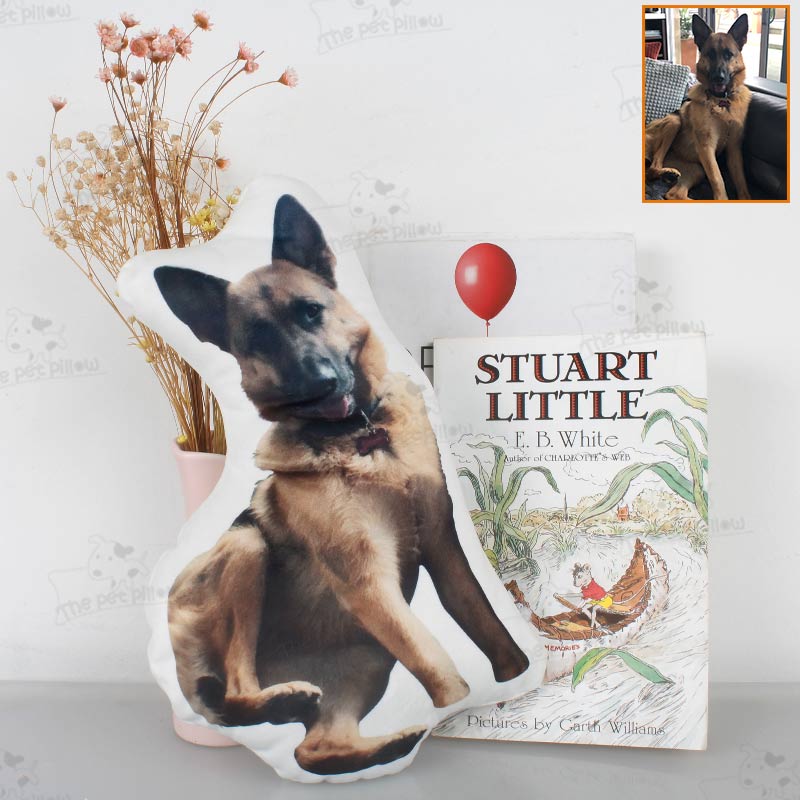 Customize The Pillow with A Photo of Your Pet and Let Your Pet Accompany You All The Time