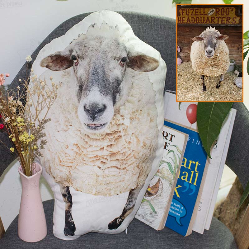Customize Your Pet Pillow To Keep Your Pet By Your Side
