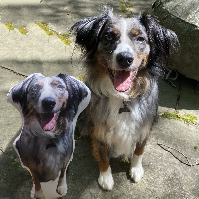 Customize The Pillow with A Photo of Your Pet and Let Your Pet Accompany You All The Time