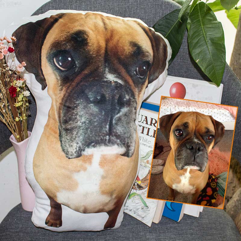 Customized Pillows, You Can Use Pet Photos, Portraits, Star, Cartoons and Other Photos To Customize Pillows