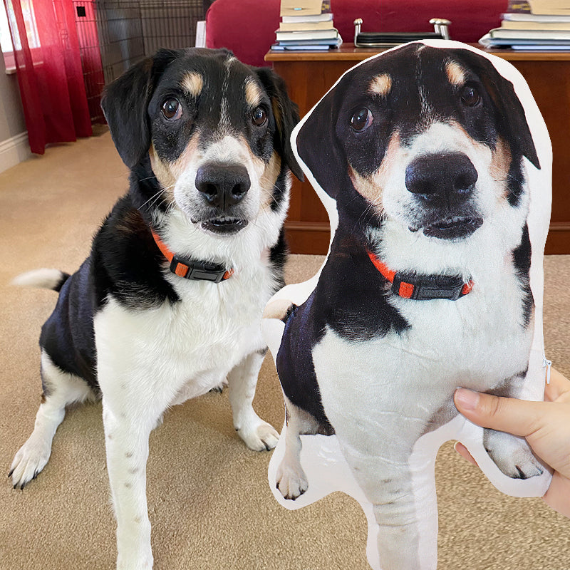Customize The Pillow with A Photo of Your Pet and Let Your Pet Accompany You All The Time