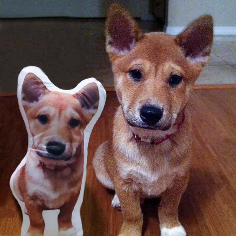 Customize Your Pet Pillow To Keep Your Pet By Your Side