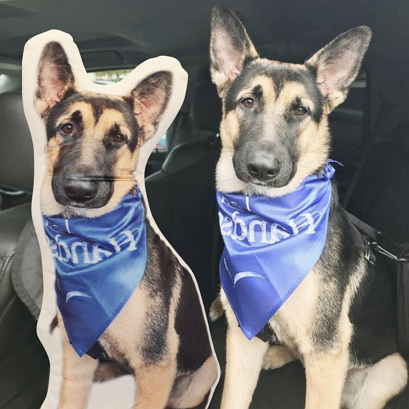 Customize The Pillow with A Photo of Your Pet and Let Your Pet Accompany You All The Time