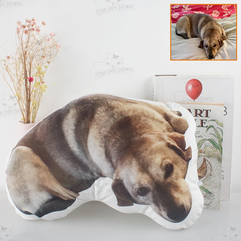 Customize The Pillow with A Photo of Your Pet and Let Your Pet Accompany You All The Time