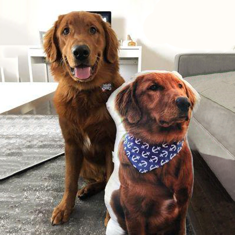 Customize Your Pet Pillow To Keep Your Pet By Your Side