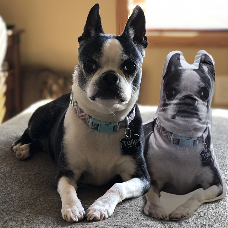 Customize Your Pet Pillow To Keep Your Pet By Your Side
